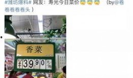 寿光最新爆料消息新闻报道,聚焦民生热点，深度解析事件真相